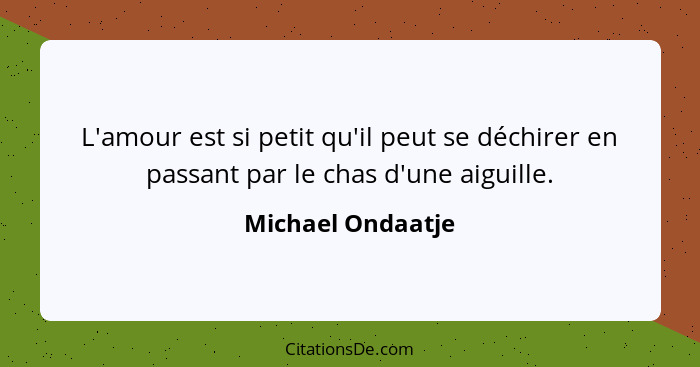 L'amour est si petit qu'il peut se déchirer en passant par le chas d'une aiguille.... - Michael Ondaatje