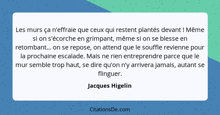 Les murs ça n'effraie que ceux qui restent plantés devant ! Même si on s'écorche en grimpant, même si on se blesse en retombant... - Jacques Higelin