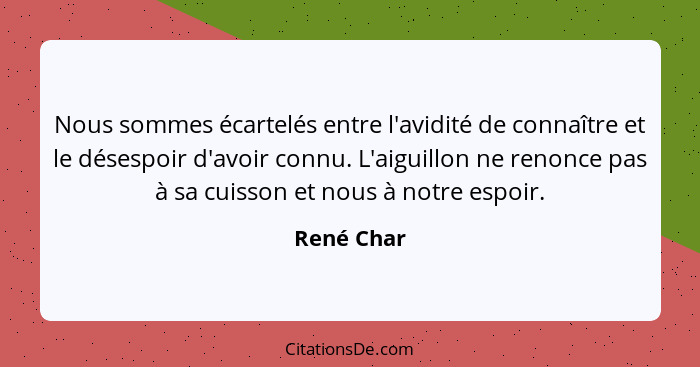 Nous sommes écartelés entre l'avidité de connaître et le désespoir d'avoir connu. L'aiguillon ne renonce pas à sa cuisson et nous à notre... - René Char