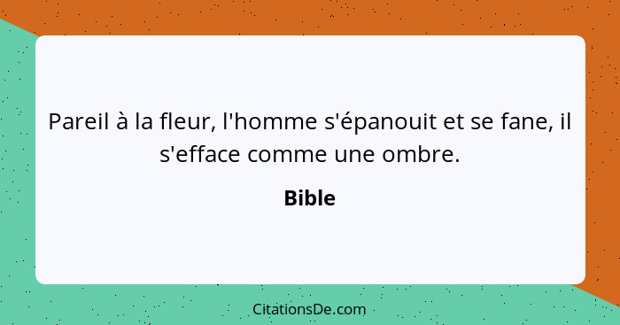 Pareil à la fleur, l'homme s'épanouit et se fane, il s'efface comme une ombre.... - Bible