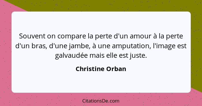Souvent on compare la perte d'un amour à la perte d'un bras, d'une jambe, à une amputation, l'image est galvaudée mais elle est just... - Christine Orban