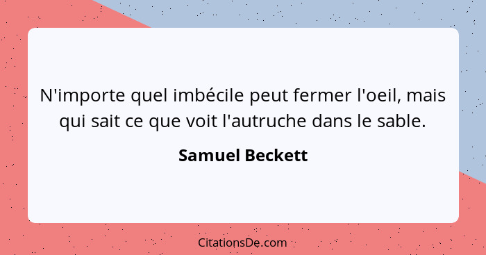 N'importe quel imbécile peut fermer l'oeil, mais qui sait ce que voit l'autruche dans le sable.... - Samuel Beckett