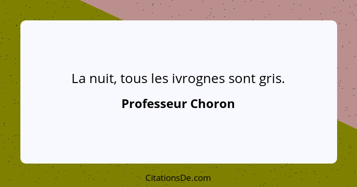 La nuit, tous les ivrognes sont gris.... - Professeur Choron