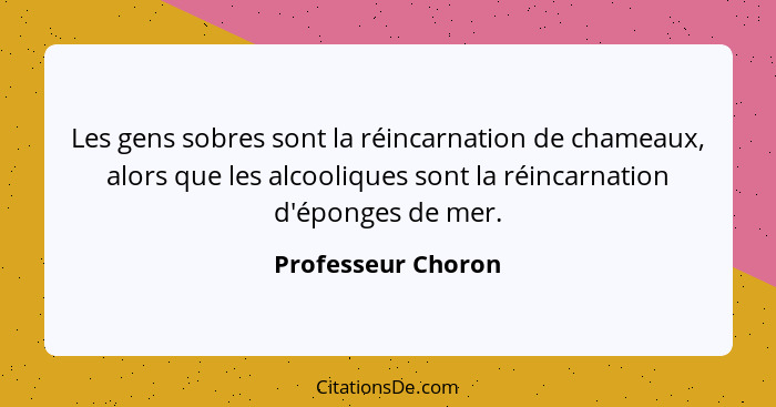 Les gens sobres sont la réincarnation de chameaux, alors que les alcooliques sont la réincarnation d'éponges de mer.... - Professeur Choron