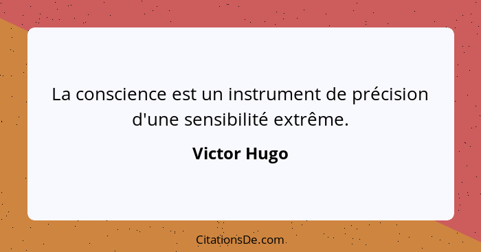 La conscience est un instrument de précision d'une sensibilité extrême.... - Victor Hugo