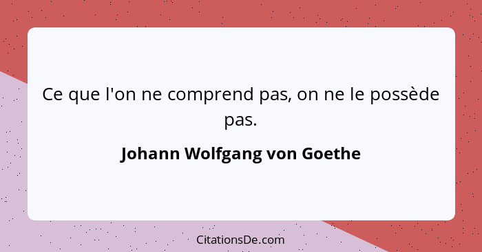 Ce que l'on ne comprend pas, on ne le possède pas.... - Johann Wolfgang von Goethe