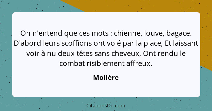 On n'entend que ces mots : chienne, louve, bagace. D'abord leurs scoffions ont volé par la place, Et laissant voir à nu deux têtes sans... - Molière