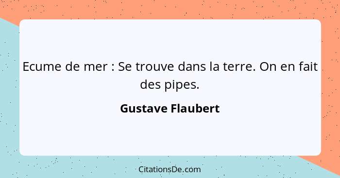 Ecume de mer : Se trouve dans la terre. On en fait des pipes.... - Gustave Flaubert