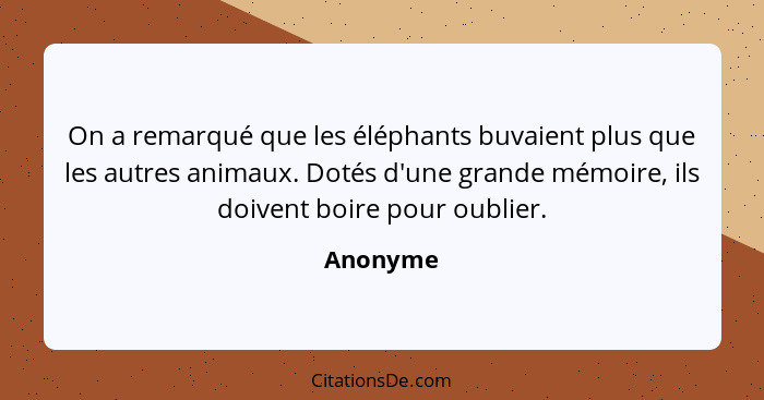 On a remarqué que les éléphants buvaient plus que les autres animaux. Dotés d'une grande mémoire, ils doivent boire pour oublier.... - Anonyme