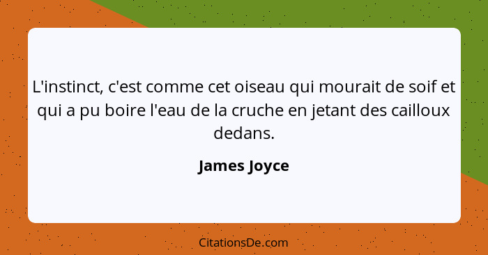 L'instinct, c'est comme cet oiseau qui mourait de soif et qui a pu boire l'eau de la cruche en jetant des cailloux dedans.... - James Joyce