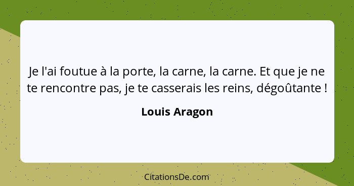 Je l'ai foutue à la porte, la carne, la carne. Et que je ne te rencontre pas, je te casserais les reins, dégoûtante !... - Louis Aragon