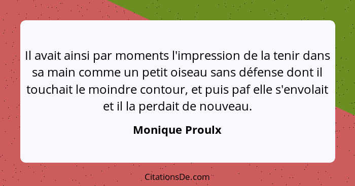 Il avait ainsi par moments l'impression de la tenir dans sa main comme un petit oiseau sans défense dont il touchait le moindre conto... - Monique Proulx