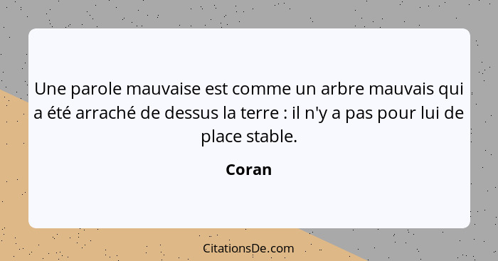 Une parole mauvaise est comme un arbre mauvais qui a été arraché de dessus la terre : il n'y a pas pour lui de place stable.... - Coran