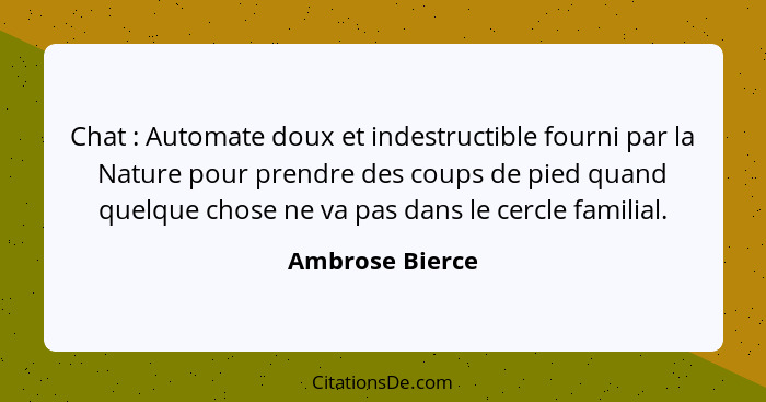 Chat : Automate doux et indestructible fourni par la Nature pour prendre des coups de pied quand quelque chose ne va pas dans le... - Ambrose Bierce