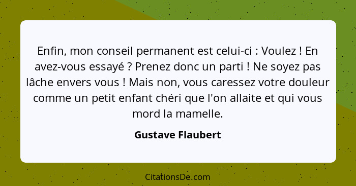 Enfin, mon conseil permanent est celui-ci : Voulez ! En avez-vous essayé ? Prenez donc un parti ! Ne soyez pas... - Gustave Flaubert