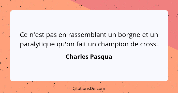 Ce n'est pas en rassemblant un borgne et un paralytique qu'on fait un champion de cross.... - Charles Pasqua