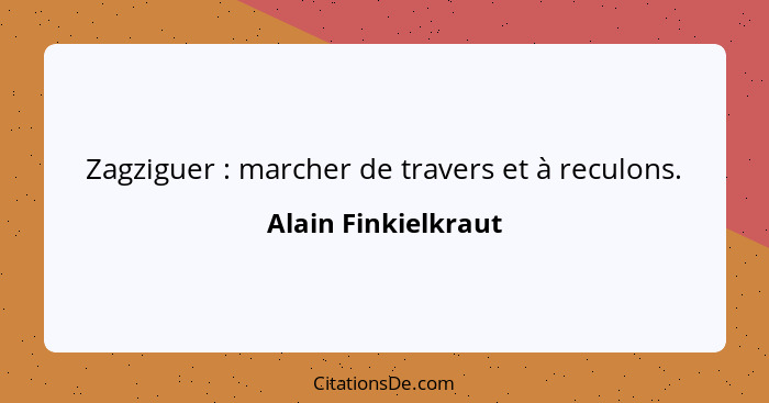 Zagziguer : marcher de travers et à reculons.... - Alain Finkielkraut