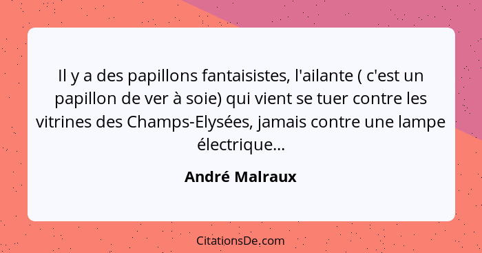 Il y a des papillons fantaisistes, l'ailante ( c'est un papillon de ver à soie) qui vient se tuer contre les vitrines des Champs-Elysé... - André Malraux