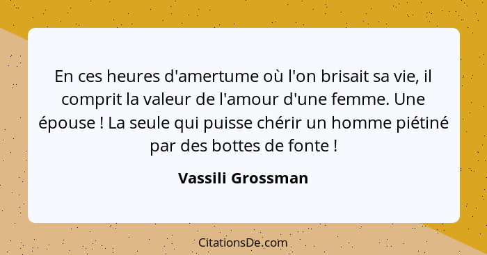 En ces heures d'amertume où l'on brisait sa vie, il comprit la valeur de l'amour d'une femme. Une épouse ! La seule qui puisse... - Vassili Grossman