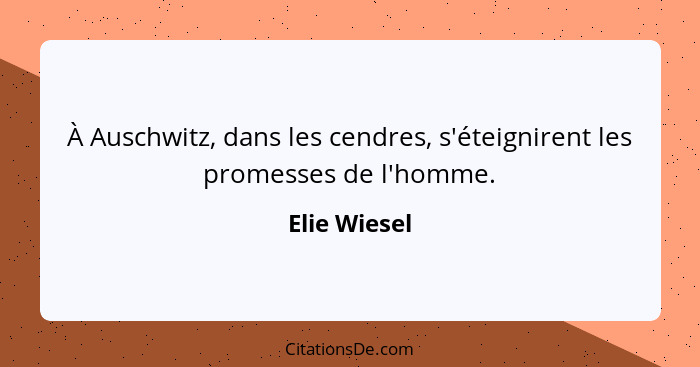 À Auschwitz, dans les cendres, s'éteignirent les promesses de l'homme.... - Elie Wiesel