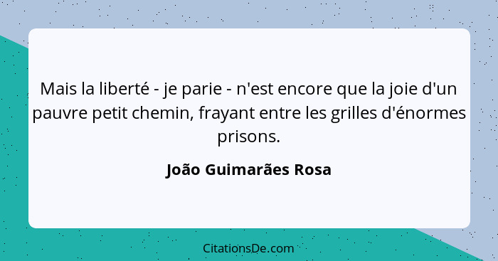 Mais la liberté - je parie - n'est encore que la joie d'un pauvre petit chemin, frayant entre les grilles d'énormes prisons.... - João Guimarães Rosa