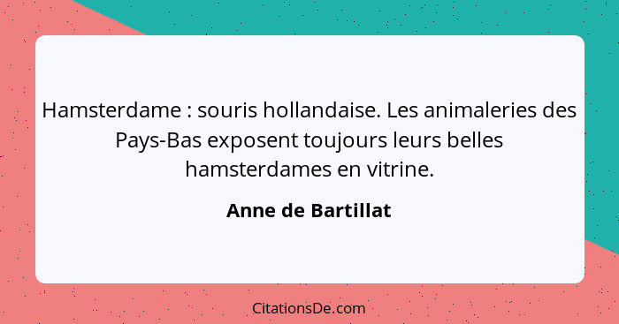 Hamsterdame : souris hollandaise. Les animaleries des Pays-Bas exposent toujours leurs belles hamsterdames en vitrine.... - Anne de Bartillat