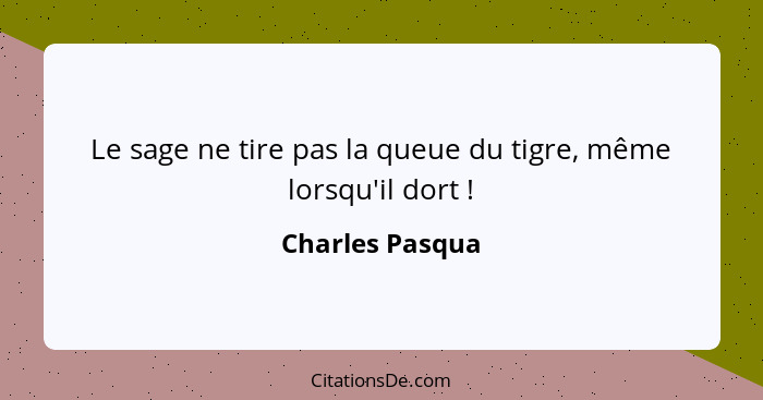 Le sage ne tire pas la queue du tigre, même lorsqu'il dort !... - Charles Pasqua