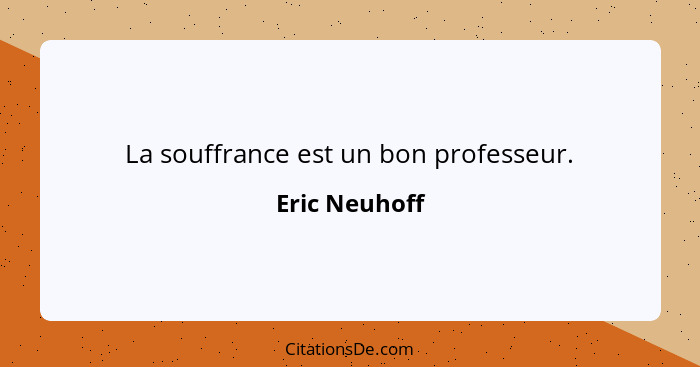 La souffrance est un bon professeur.... - Eric Neuhoff