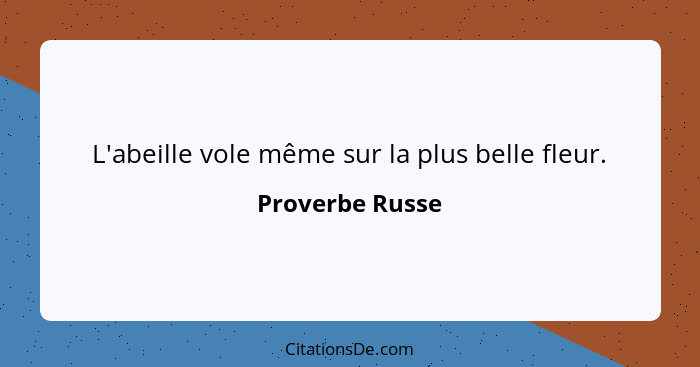 L'abeille vole même sur la plus belle fleur.... - Proverbe Russe