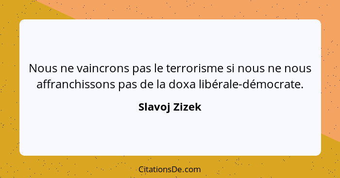 Nous ne vaincrons pas le terrorisme si nous ne nous affranchissons pas de la doxa libérale-démocrate.... - Slavoj Zizek