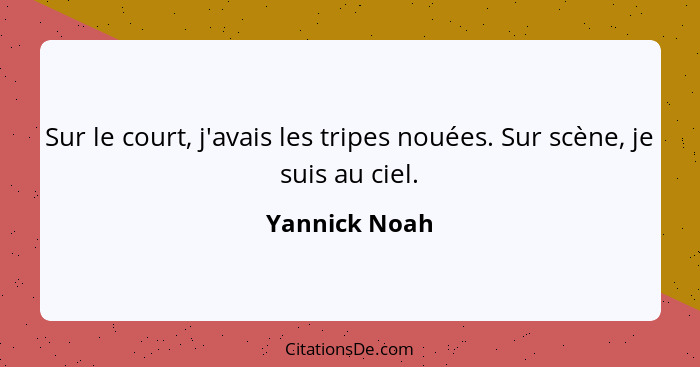 Sur le court, j'avais les tripes nouées. Sur scène, je suis au ciel.... - Yannick Noah