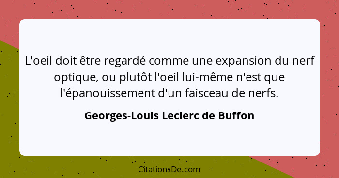 L'oeil doit être regardé comme une expansion du nerf optique, ou plutôt l'oeil lui-même n'est que l'épanouissement d... - Georges-Louis Leclerc de Buffon