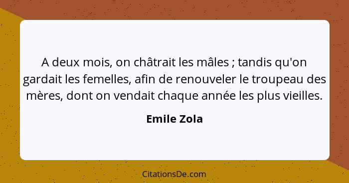 A deux mois, on châtrait les mâles ; tandis qu'on gardait les femelles, afin de renouveler le troupeau des mères, dont on vendait ch... - Emile Zola