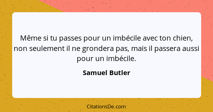 Même si tu passes pour un imbécile avec ton chien, non seulement il ne grondera pas, mais il passera aussi pour un imbécile.... - Samuel Butler