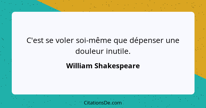 C'est se voler soi-même que dépenser une douleur inutile.... - William Shakespeare