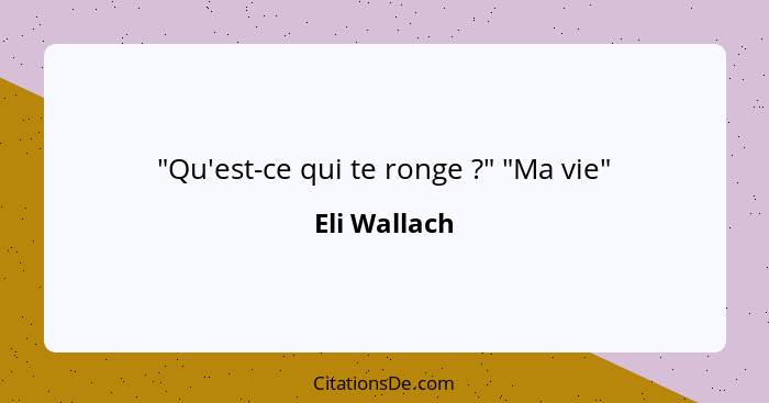 "Qu'est-ce qui te ronge ?" "Ma vie"... - Eli Wallach