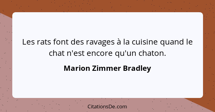 Les rats font des ravages à la cuisine quand le chat n'est encore qu'un chaton.... - Marion Zimmer Bradley