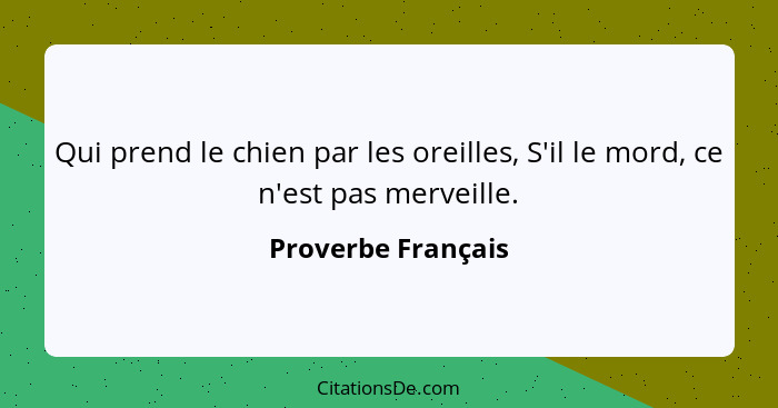 Qui prend le chien par les oreilles, S'il le mord, ce n'est pas merveille.... - Proverbe Français