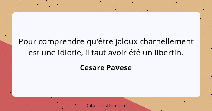 Pour comprendre qu'être jaloux charnellement est une idiotie, il faut avoir été un libertin.... - Cesare Pavese