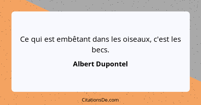 Ce qui est embêtant dans les oiseaux, c'est les becs.... - Albert Dupontel