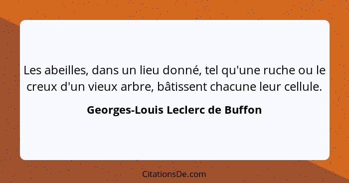 Les abeilles, dans un lieu donné, tel qu'une ruche ou le creux d'un vieux arbre, bâtissent chacune leur cellule.... - Georges-Louis Leclerc de Buffon