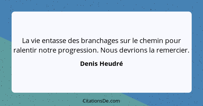 La vie entasse des branchages sur le chemin pour ralentir notre progression. Nous devrions la remercier.... - Denis Heudré