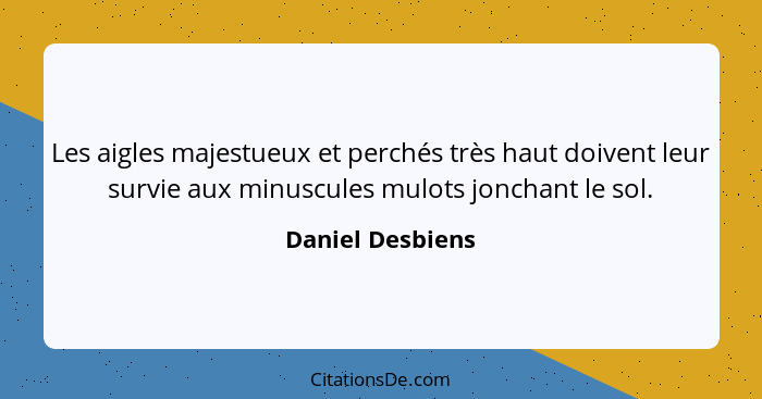 Les aigles majestueux et perchés très haut doivent leur survie aux minuscules mulots jonchant le sol.... - Daniel Desbiens