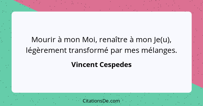 Mourir à mon Moi, renaître à mon Je(u), légèrement transformé par mes mélanges.... - Vincent Cespedes