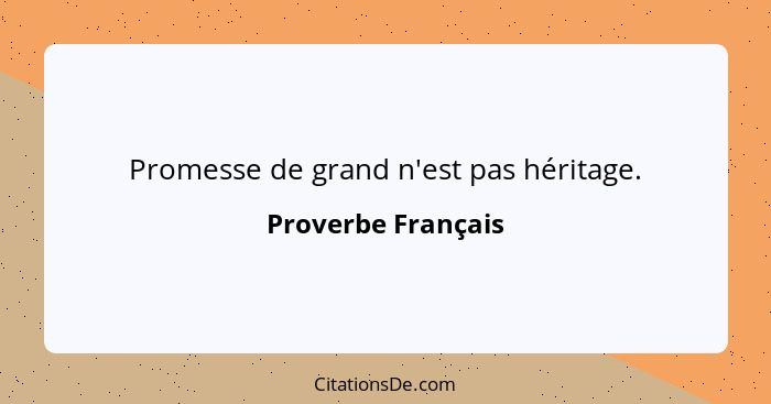 Promesse de grand n'est pas héritage.... - Proverbe Français