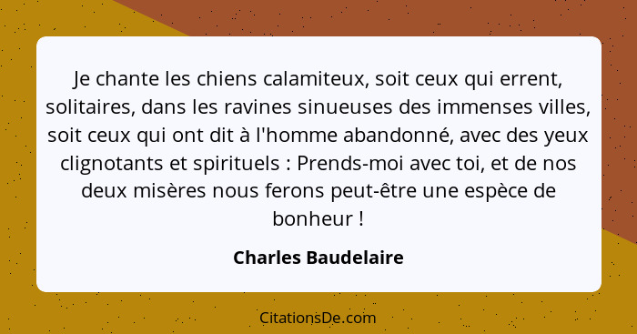 Je chante les chiens calamiteux, soit ceux qui errent, solitaires, dans les ravines sinueuses des immenses villes, soit ceux qui... - Charles Baudelaire