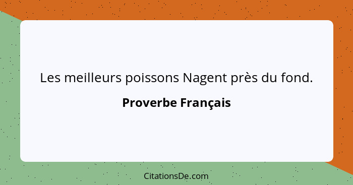 Les meilleurs poissons Nagent près du fond.... - Proverbe Français