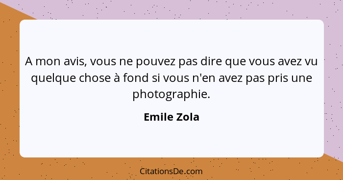 A mon avis, vous ne pouvez pas dire que vous avez vu quelque chose à fond si vous n'en avez pas pris une photographie.... - Emile Zola