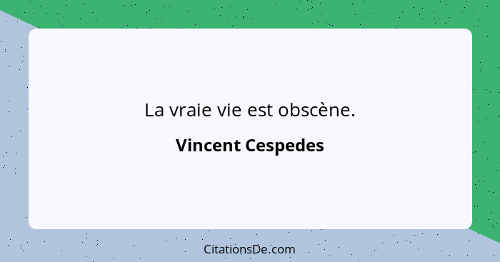 La vraie vie est obscène.... - Vincent Cespedes