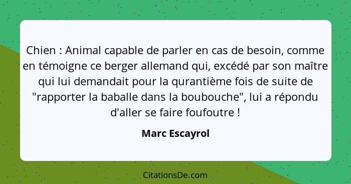 Chien : Animal capable de parler en cas de besoin, comme en témoigne ce berger allemand qui, excédé par son maître qui lui demand... - Marc Escayrol